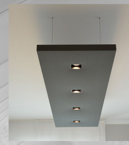 Ceiling Panel